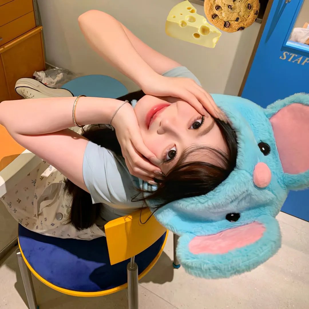 四羽毛